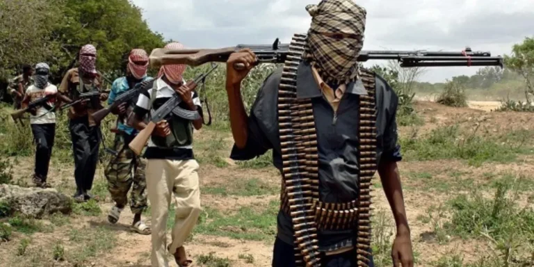 Fully-Armed Terrorists settles In Osun, Oyo, Ogun Forests To Launch Attack On Yoruba States