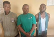 Delta State Police Command Arrest Facebook Scammers, Kidnappers, Rapist.