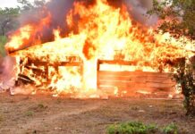 NDLEA storms Edo forests, razes 317 tons Cannabis warehouses, arrests 4.