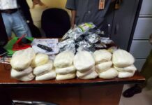 NDLEA intercepts cocaine, skunk consignments from Brazil, Canada at Enugu, Lagos ports