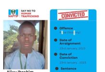 17-yr-old boy bags one year imprisonment for raping four boys in Sokoto.