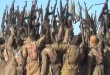 ISWAP Shares Old Naira Notes To Passengers On Borno Highway