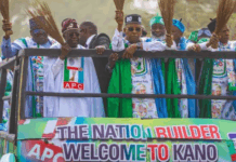 Kano crowd signals victory for Tinubu, APC, Ganduje boasts