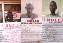 3 Grandpas, Nigerien, arrested over 52kgs cocaine, skunk seized in Lagos, Kwara, Plateau