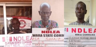 3 Grandpas, Nigerien, arrested over 52kgs cocaine, skunk seized in Lagos, Kwara, Plateau