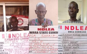 3 Grandpas, Nigerien, arrested over 52kgs cocaine, skunk seized in Lagos, Kwara, Plateau