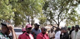 2023 polls: Marwa commends NDLEA officers over good conduct, blocking access to illicit drugs.Â