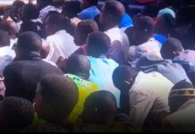 516 Illegal immigrants arrested with PVCs in Kaduna State.