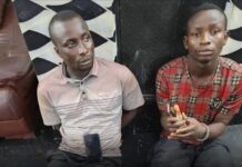 Two cousins arrested for robbing & hacking tricyclist to death in Ogun.