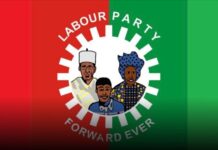 2023 Elections: Our agent signed election results for Badagry LGA at gunpoint — Labour Party Official