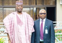 NDPB probes banks, telcos, loan companies over alleged data breaches