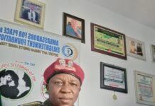 AMPEF Task INEC To Redeem The Image Of Nigerians, Implore Adequate Techniques For Electioneering.