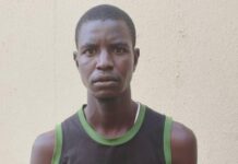 Ex-Boko Haram fighter, traditional ruler, 35 others arrested for drug trafficking.