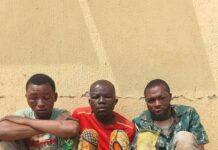 Ogun Police Arrest Three Suspected Armed Robbers