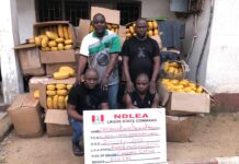 Six drug traffickers bag 156 years imprisonment in Lagos, Ogun