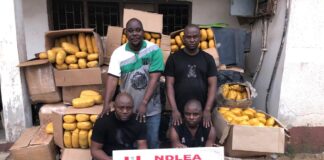 Six drug traffickers bag 156 years imprisonment in Lagos, Ogun
