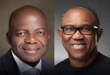 We won an election without Peter Obi — Abia governor-elect, Alex Otti