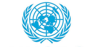 UNODC: Cocaine trafficking diversifying through new hubs and groups, with global supply at record levels.