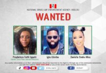 NDLEA declares prophetess, celebrity couple, wanted over seized illicit drugs