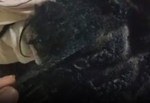 Mom seeks justice after her daughter was allegedly assaulted and her hair chopped off in Lagos school.