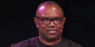 Peter Obi can leave Labour Party if he chooses to – NLC