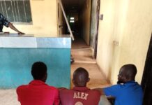 Delta Police arrest syndicate specialized in trailing customers from banks, carts away huge sum of money by vandalizing victims vehicle.