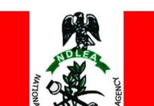 Recruitment: NDLEA announces online test for superintendent cadre applicants.