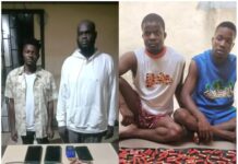 CP Wale Abass commences swift operation as the command arrest four armed robbery suspects in Delta.