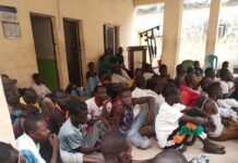 NDLEA raids drug joints nationwide, arrests 534 ahead of May 29 inauguration.