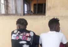 Delta State Police Command records more successes, arrest a suspected gun runner, 5 suspected armed robbers, cultist.