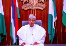 ‘My cows, sheep easier to control than Nigerians’ – Buhari