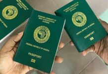 Senate probes Nigerian Immigration over delays in international passport issuance, renewal