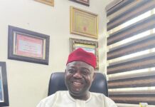 French and the New Strategic Partnership with Nigeria: A Departure from the Old Order – Prince Nixon Okwara