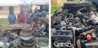 Delta Police Arrest Suspected Vehicle Snatchers, Vandalizers.