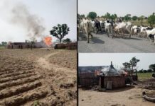 Troops raid Katsina terrorists’ camp, arrest one, kill five