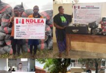 NDLEA intercepts 5, 344kg imported skunk consignments in Lekki, Lagos