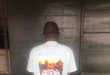 Delta Police Arrest Two Suspected Armed Robbers – Recover Guns and Cartridges