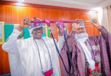 We’ll continually promote peace between Nigeria, Niger Republic – Gov. Buni