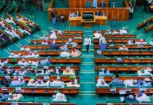 Reps to Tinubu: Respect court ruling, appoint FCT indigene as minister.