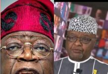 Tinubu should not do 100 days in office – Professor Ikechukwu