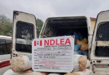 4,560kg skunk seized in Lagos, Adamawa, Osun