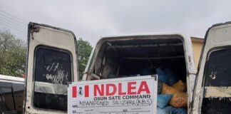 4,560kg skunk seized in Lagos, Adamawa, Osun