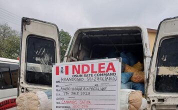 4,560kg skunk seized in Lagos, Adamawa, Osun