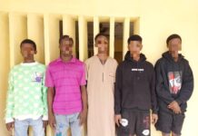 Cult Initiation: Police Arrest Five – rescue Victim.