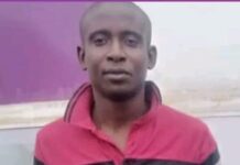 How a welder was arrested and sent to prison while cutting grasses to earn money for survival.