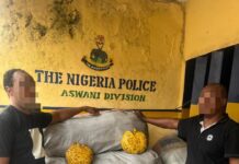 Police Intercept Large Cache Of Illicit Drugs – Arrest Suspects.