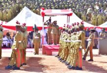 We won’t tolerate sabotage of drug war, Marwa warns