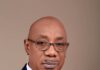 Sterling Bank Appoints Mayaki as New Board Chairman