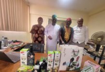 Go-Wellness: Ruzu herbal product to promote wellness in Africa – Dr. Onyemaechi Roberts Uzu