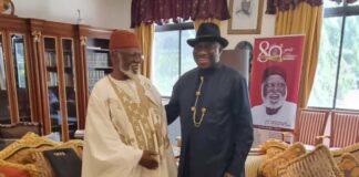 Jonathan, Abdulsalami, Ooni, others back state police over insecurity